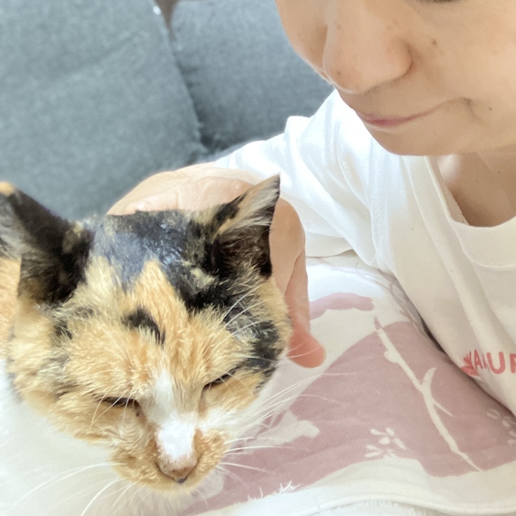 難治性口内炎、腎不全さくらちゃん