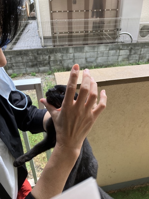 多頭飼育現場での投薬