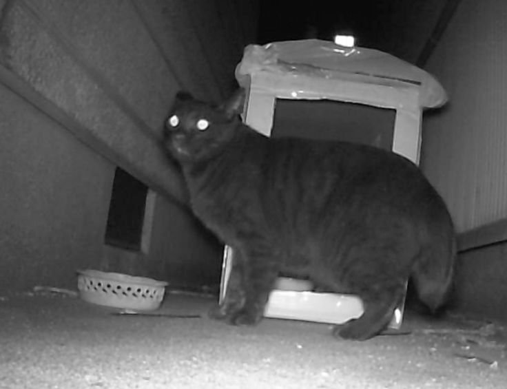 スクリーンショット 2024-09-08 8.50.34.png