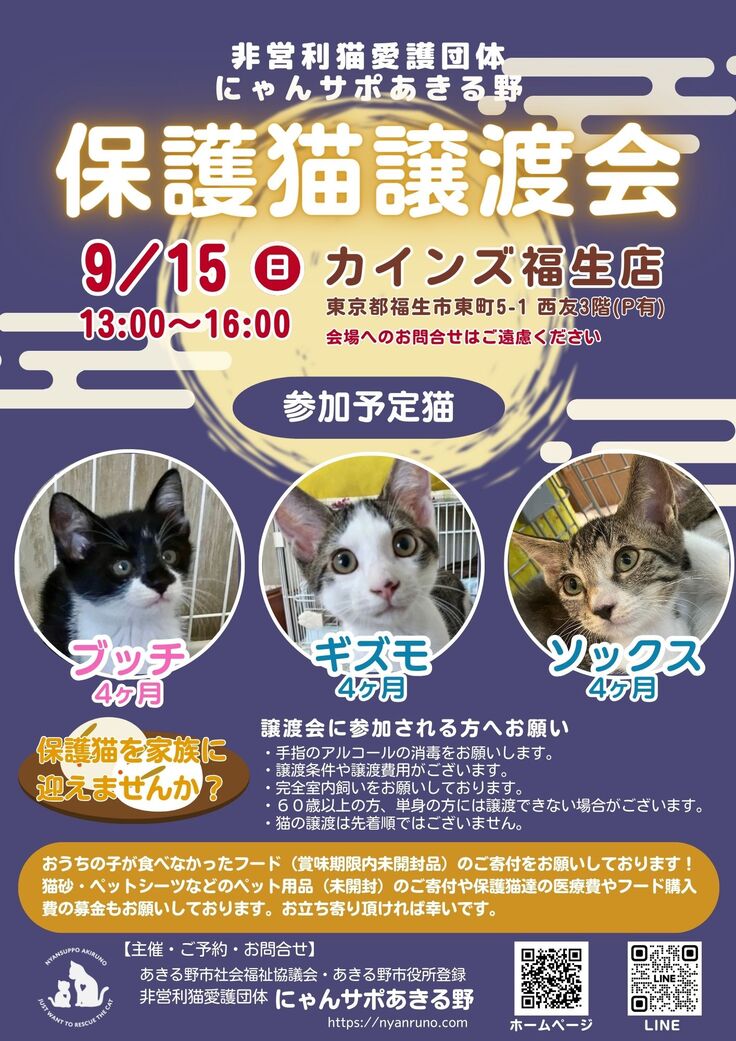 保護猫譲渡会のお知らせ
