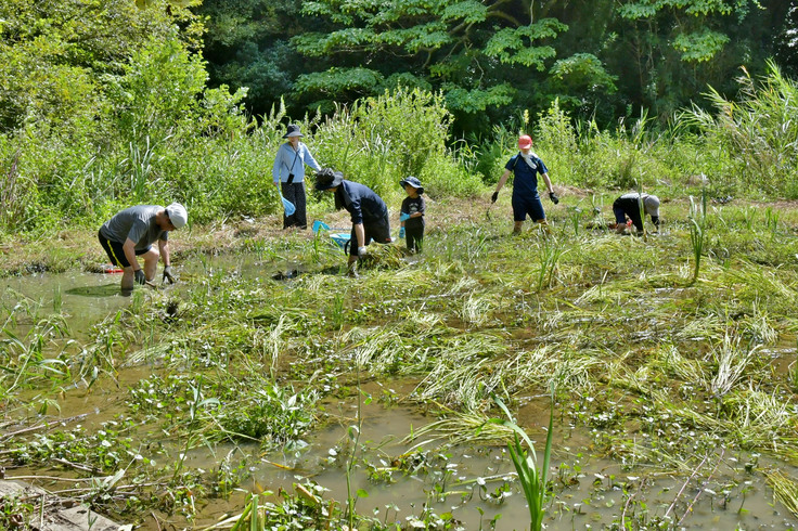 Inekari 15Sep2024.jpg