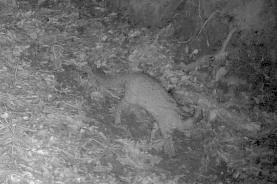 スクリーンショット 2024-09-20 16.49.27.png