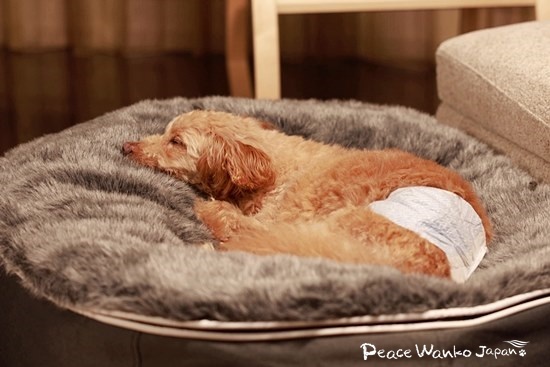 幸せのカタチ。