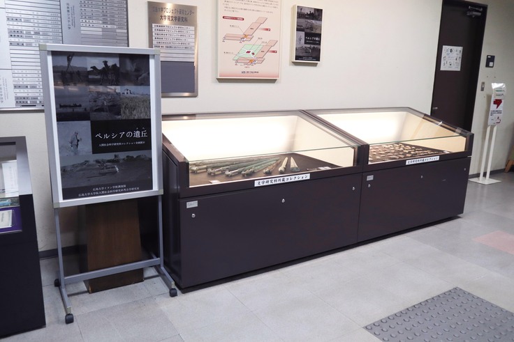 2024年度上半期・文学部コレクション展示「ペルシアの遺丘」