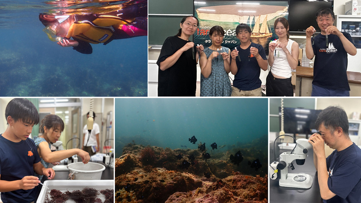 shimoda snorkeling2.jpg