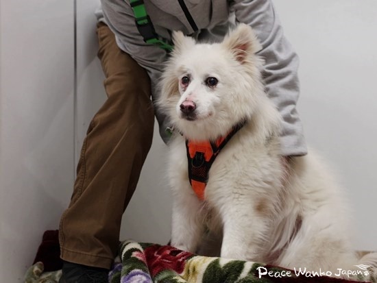 お迎えが来てもなかなか部屋から出ようとしませんでした