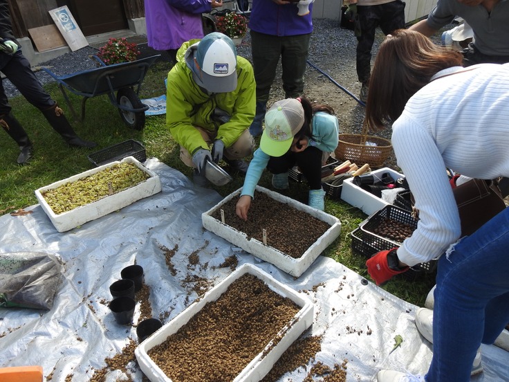 新たな箇所に防草シートを敷設し、10種30ポットの実生群ポット苗の植栽　　