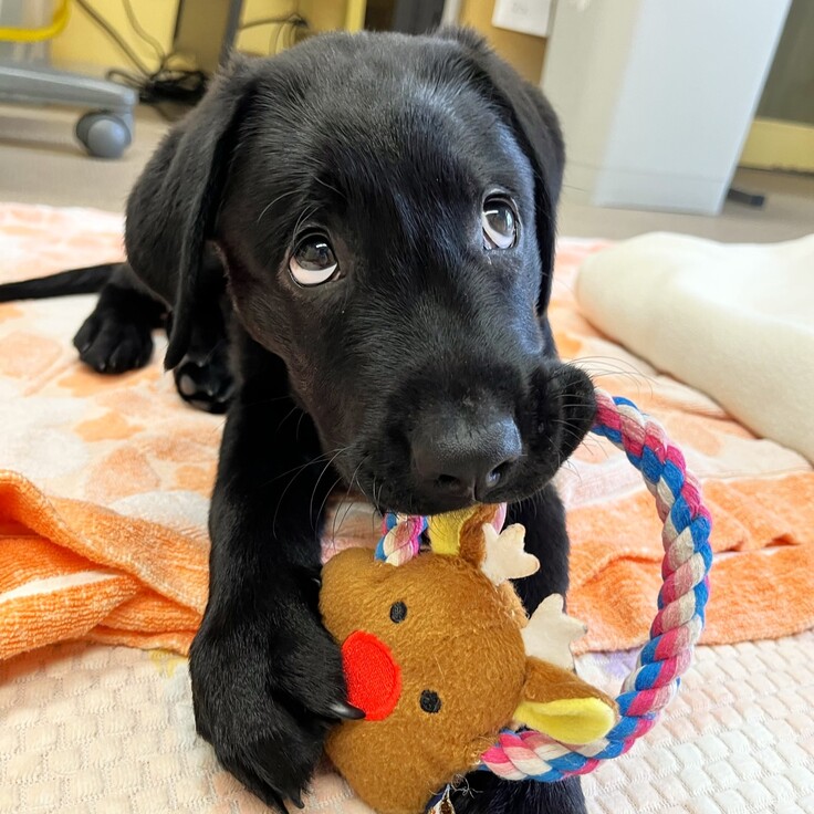 マックス (8).JPEG