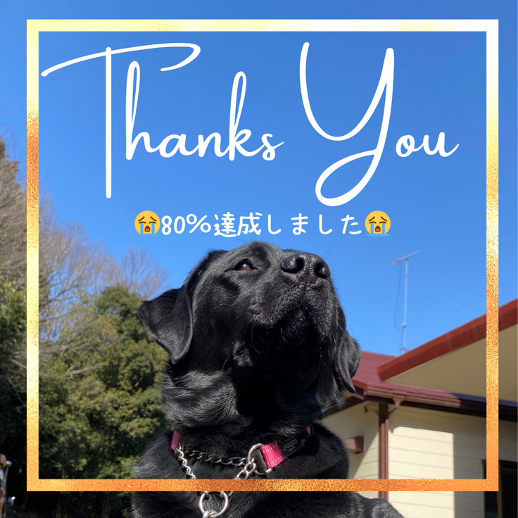 😭80％達成😭.png