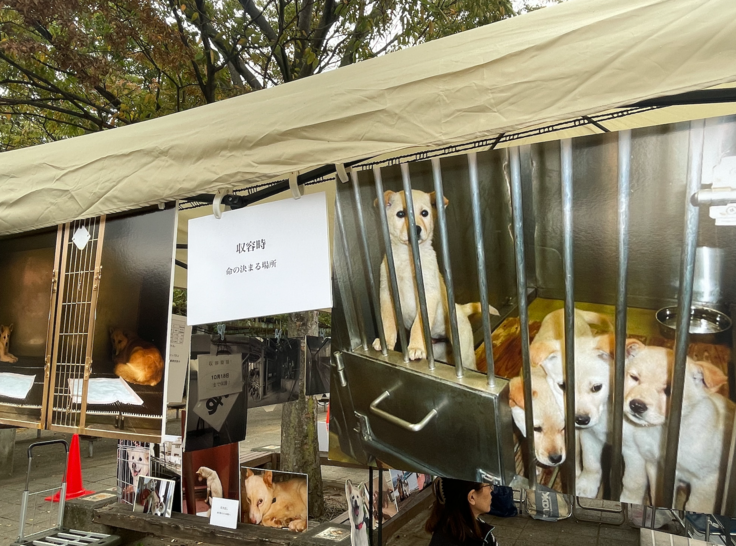 スクリーンショット 2024-11-03 21.46.59.png