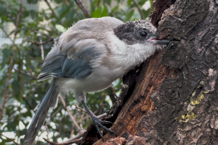 スクリーンショット (9).png