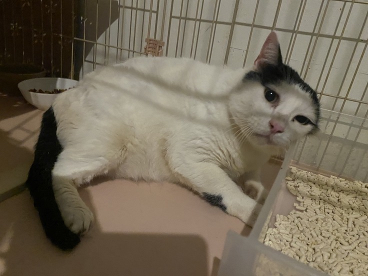 引き出し時のムーチー