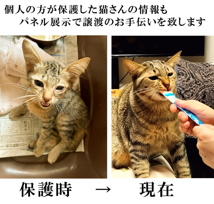 名称未設定 1.jpgｓだ.jpg