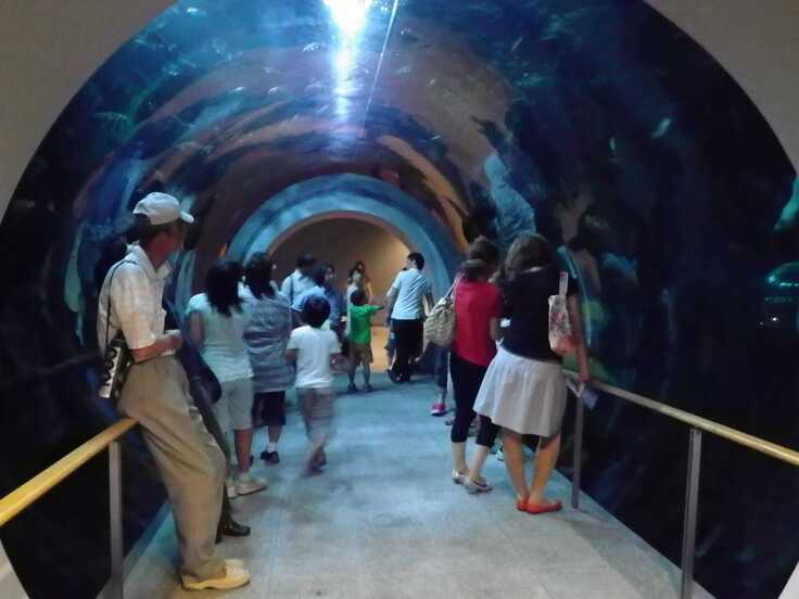 過去に実施したナイトミュージアムの様子です