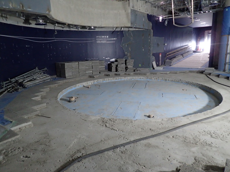 解体後のオオナマズ水槽