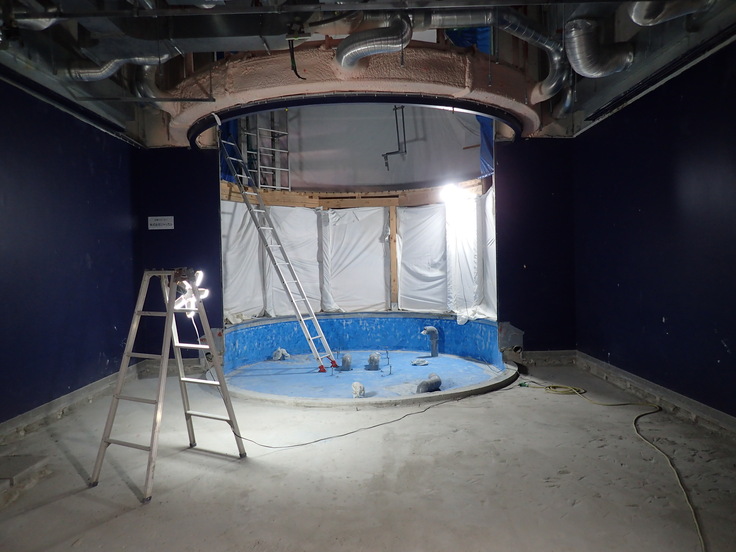 解体後のコアユ水槽