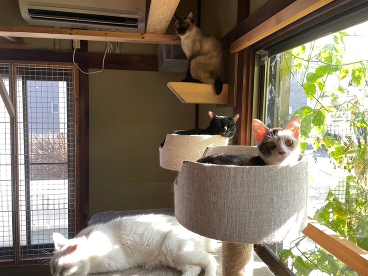 シェルターの様子