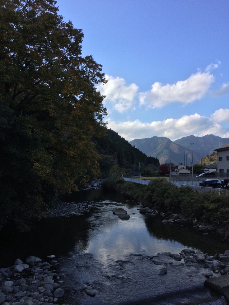 今年初めてたくさんくまが里に出没した山村