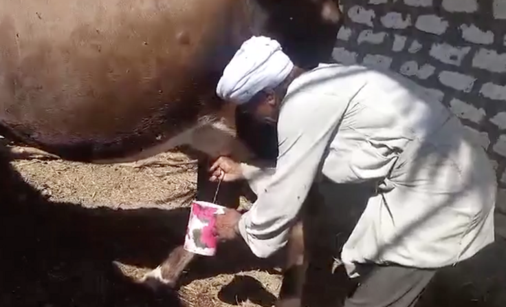 スクリーンショット 2024-12-05 18.47.31.png