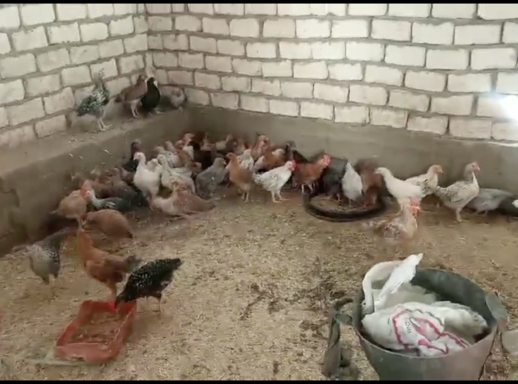 スクリーンショット 2024-12-05 18.52.10.png