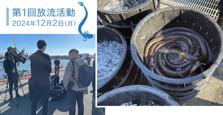 第1回放流活動の様子