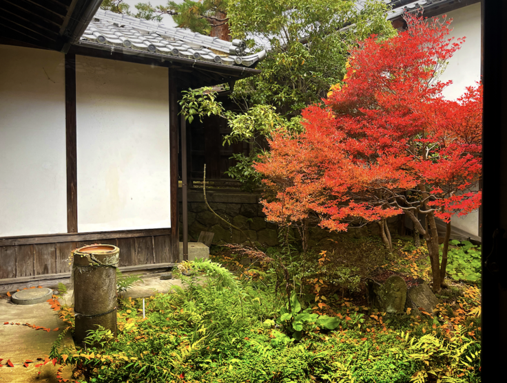 スクリーンショット 2024-12-07 22.52.31.png