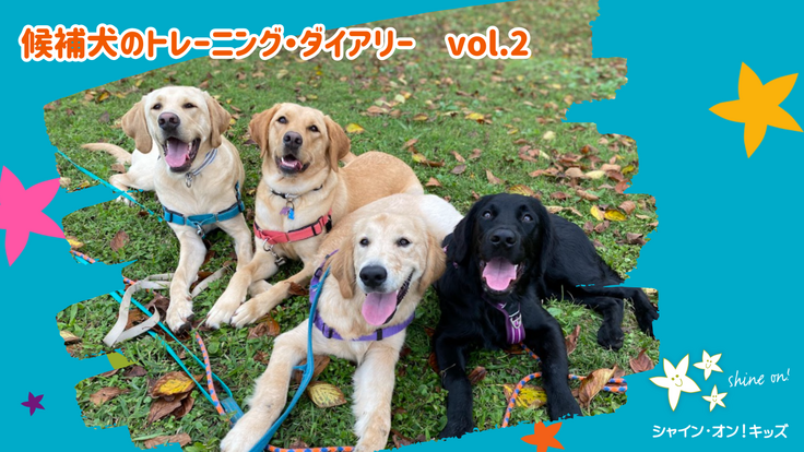 RF2024 新着情報 (1).png