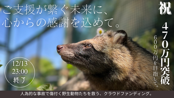 ４７０万円突破 (YouTubeサムネイル) (1).png