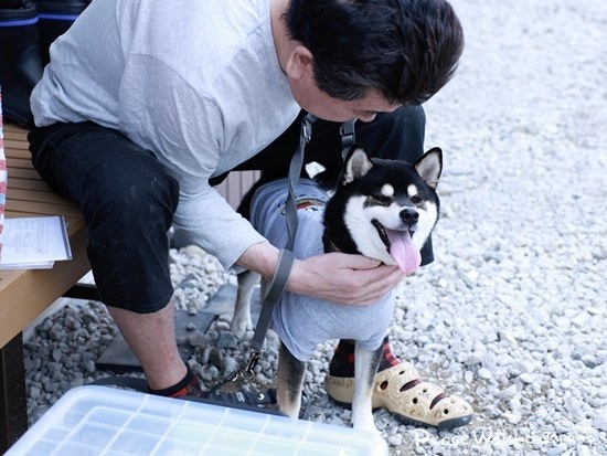 お父さんと再会して大喜びの「ケンシロウ」くん