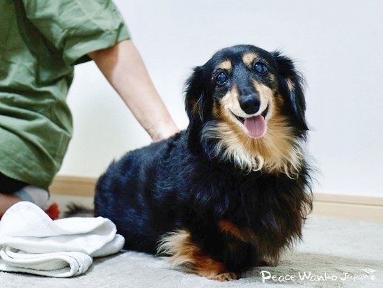 家族と再会できて幸せそうな14歳の「りん」ちゃん