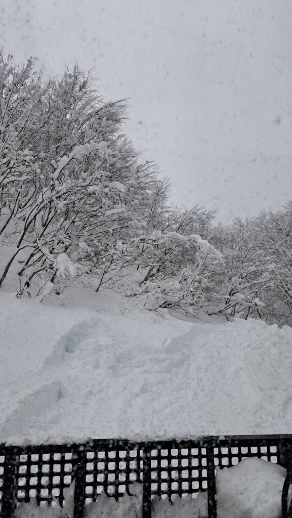 12/18和泉スキー場の様子