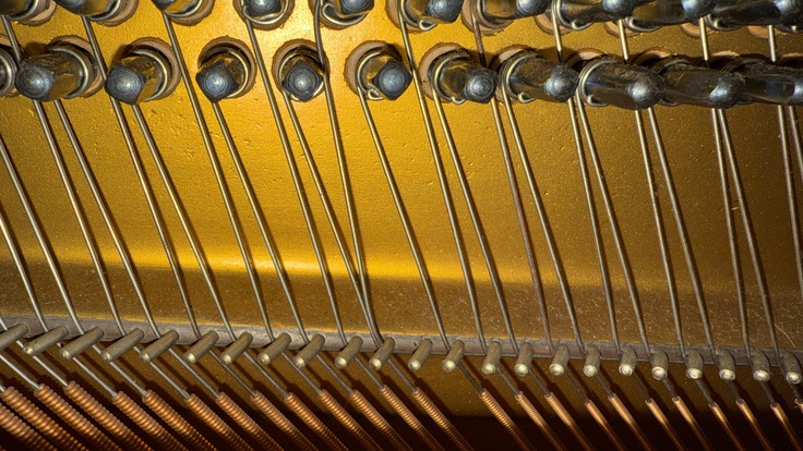 切れたままの弦の状況