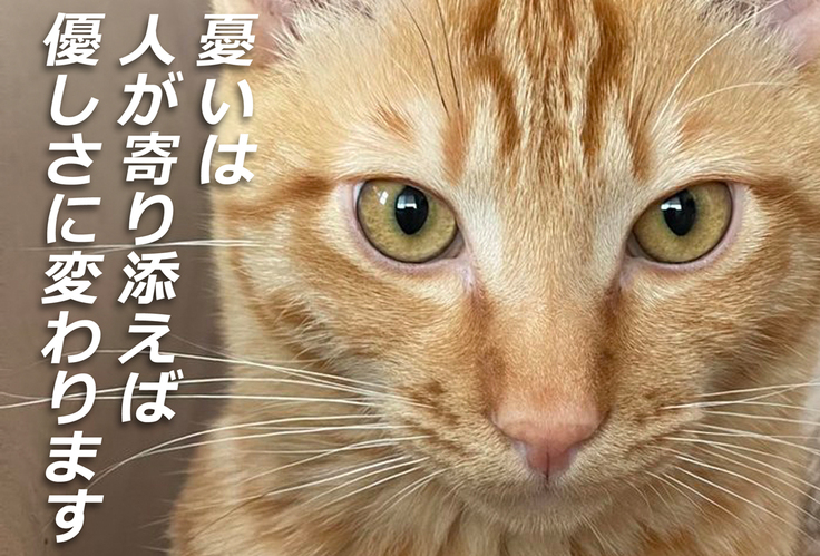 憂いという字は人が寄り添う事で優しさに変わります。