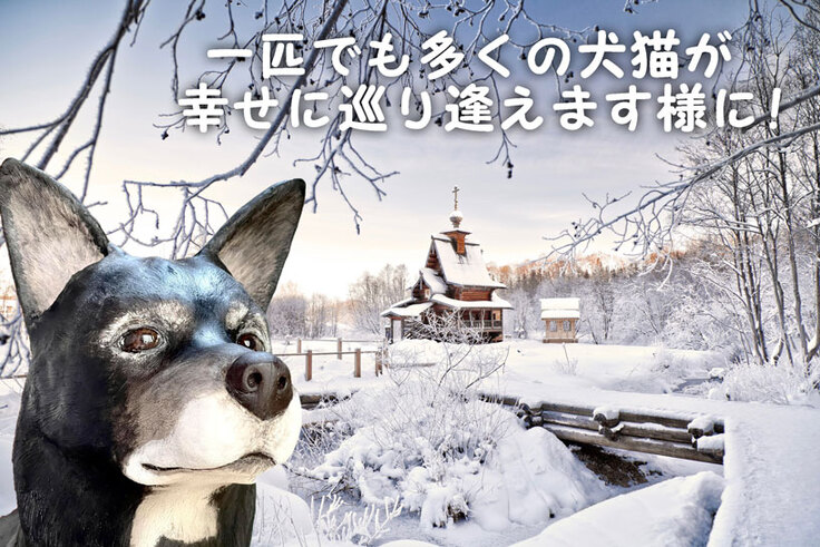 一匹でも多くの犬猫が幸せに巡り逢えます様に！