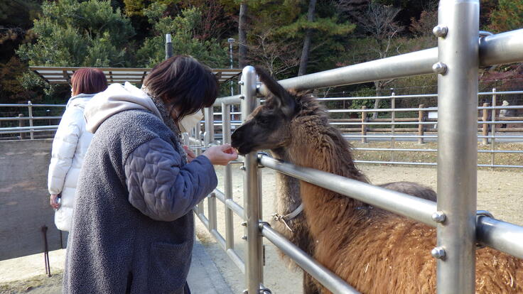 むぎくん、まめちゃんはホント人なつっこいので参加者の方からもエサを上手にもらっていました