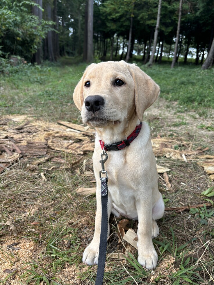 大分大きくなりました！