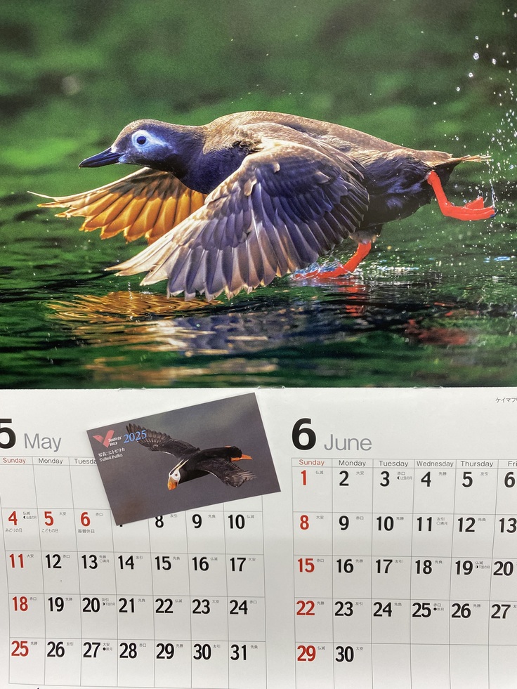 2025年 うみどりのこえカレンダ－と会員証