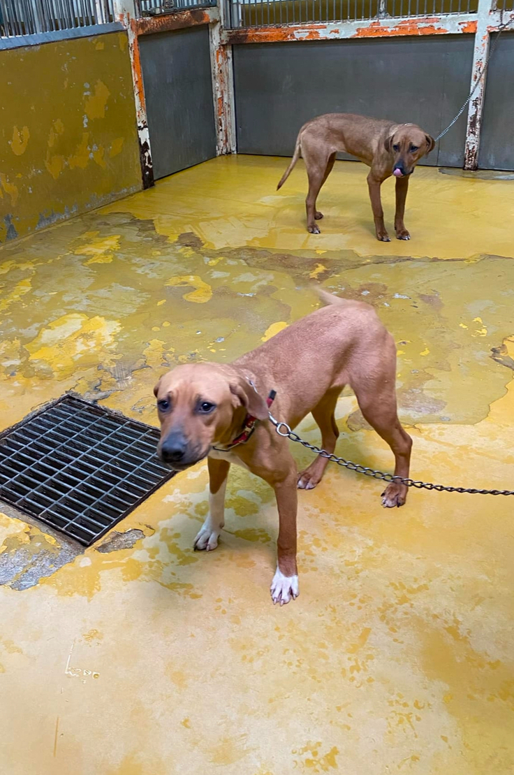 センターで待つ子達