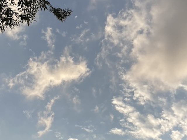 空の写真（薄い雲が広がっている見上げた晴れた日の写真）