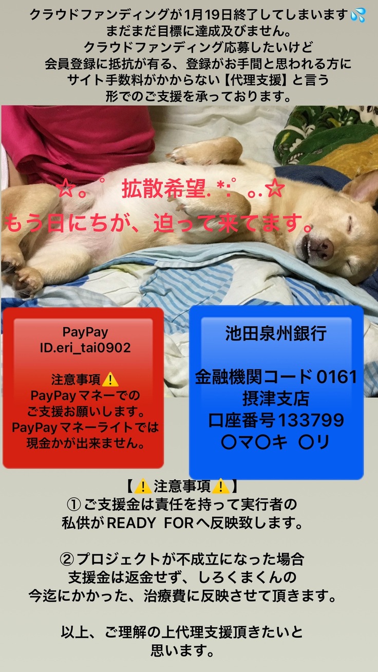 会員登録に抵抗が有る、登録がお手間や、やり方が分からない方に責任もって代理支援させて頂きます🙇‍♀️ご協力よろしくお願いします!!