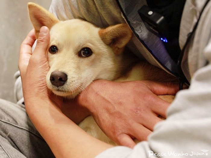 愛情を込めて優しく接したら、必ず伝わります