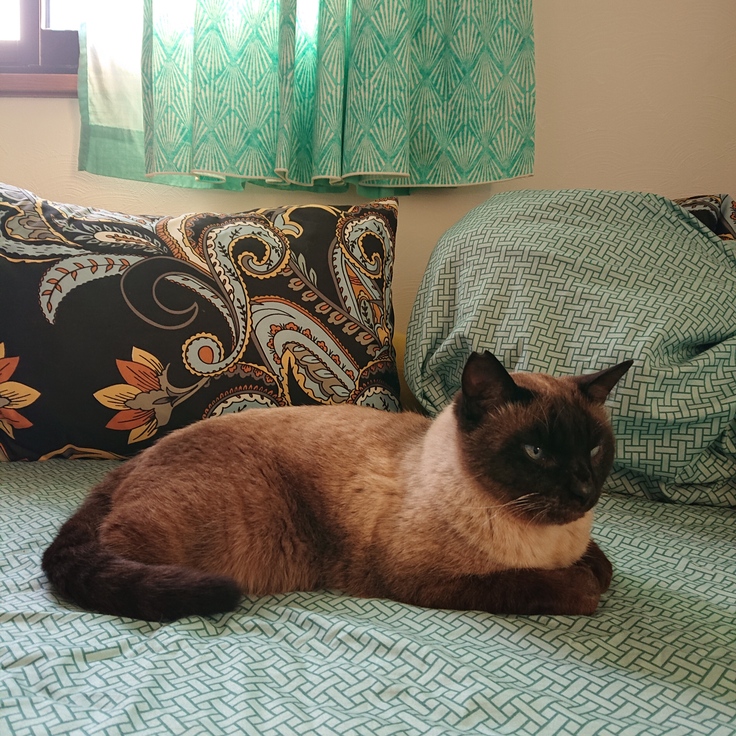 チョット老けてる1月11日