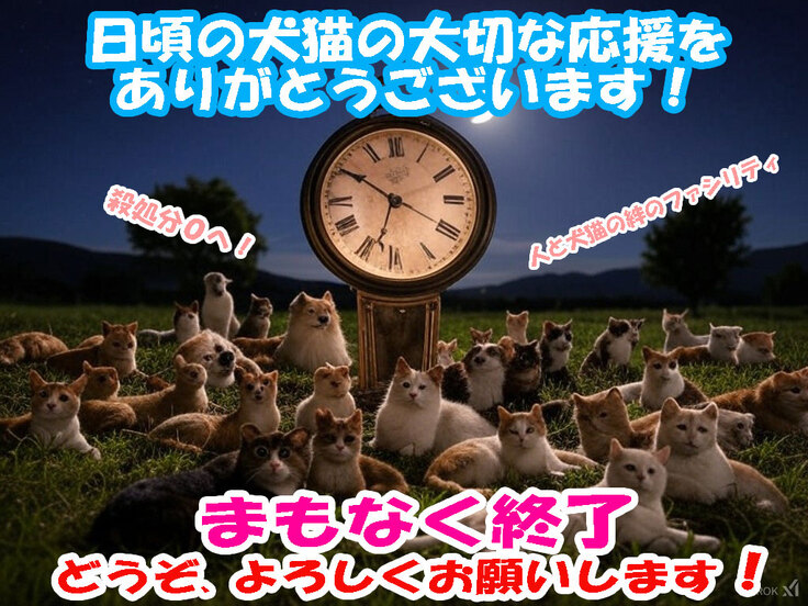 クラファン終了まじか