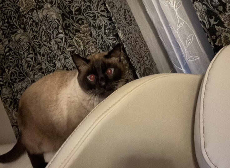 近いと思ったら近かった