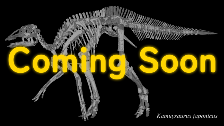 New Kamuysaurus.PNG