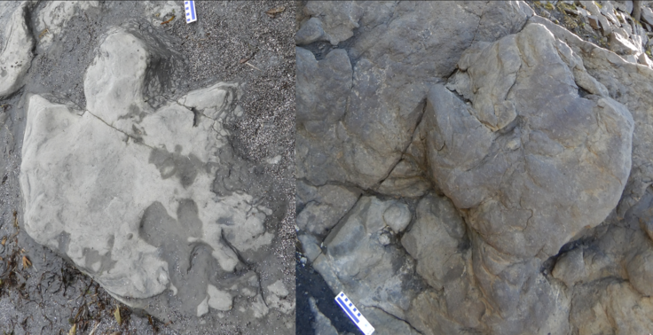 スクリーンショット 2025-02-08 13.33.51.png