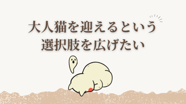 仔猫も可愛いけど色んな選択肢をまずは広げたい