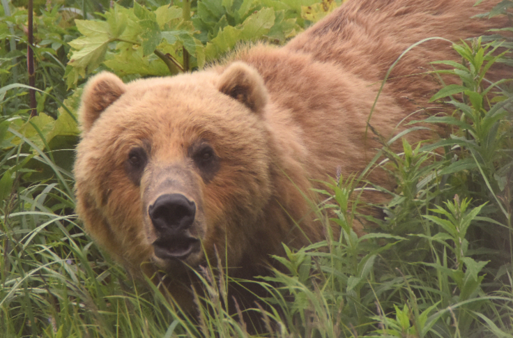 スクリーンショット 2025-02-13 17.07.55.png