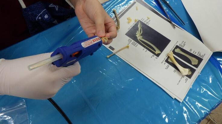 みなさんグルーガンもだんだん使いこなされていましたよ！