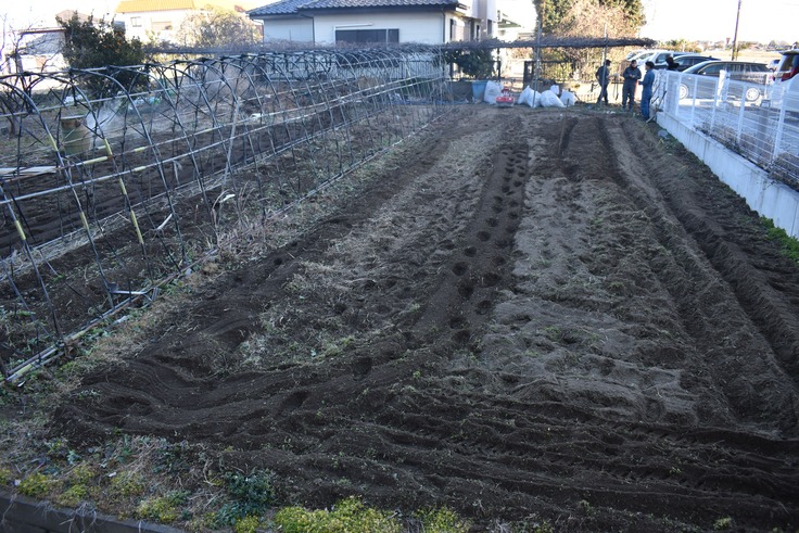 📷️病院隣の住民さんの畑をきれいに！